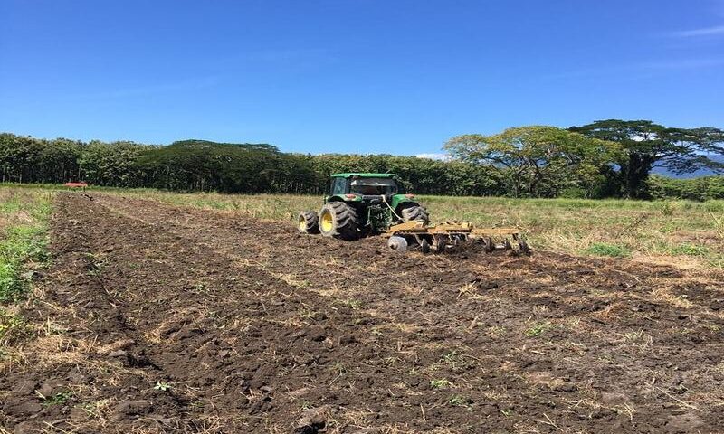 Crisis de Combustible: Yaracuy en emergencia agrícola por falta de diésel