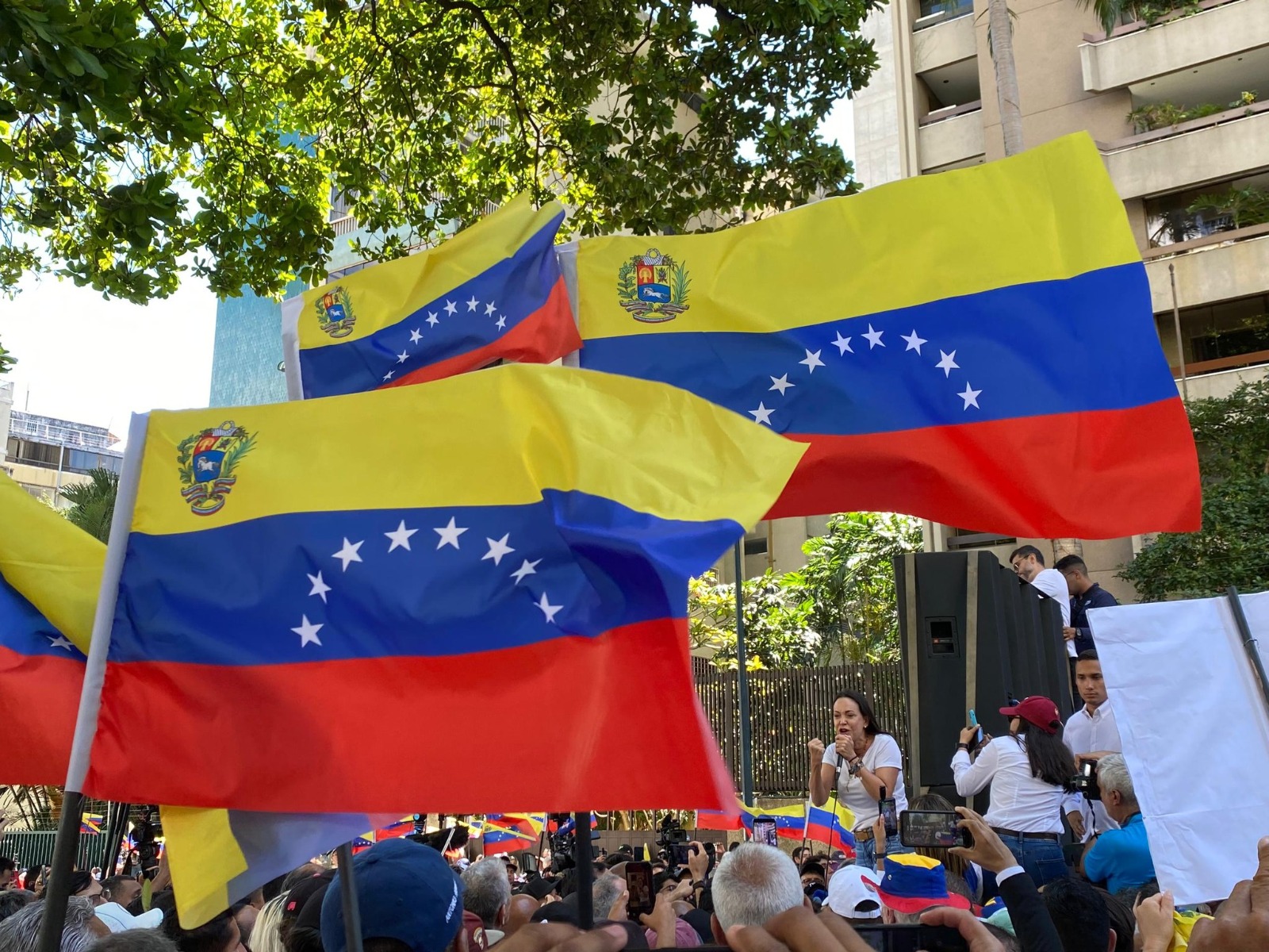 “Reunificar y libertad”, la tarea de la “Gran Alianza Nacional” que lanzó María Corina Machado este #23Ene