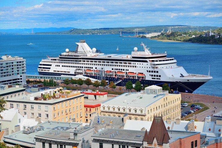 VIDEO: Pasajero reveló lo que “nunca hay que decir en un crucero” para disfrutar del viaje