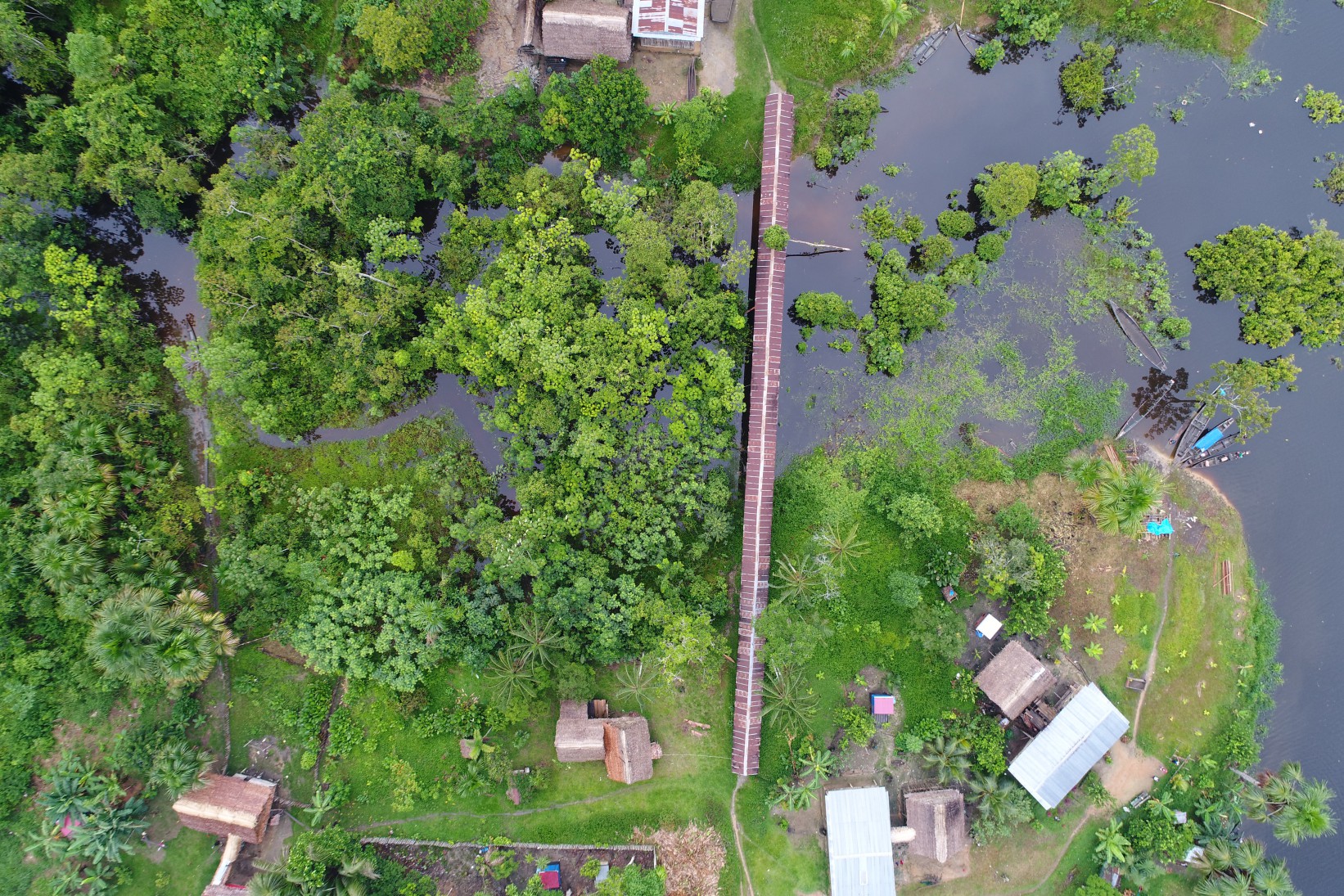 La malaria avanza entre los yanomami: brote deja más de 85 muertos en Amazonas