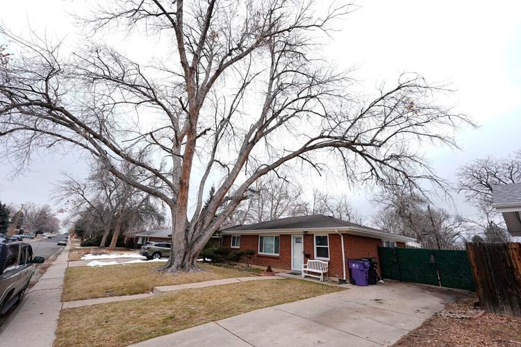 Macabro hallazgo en Colorado: encuentran cadáver y 30 restos cremados en una carroza fúnebre