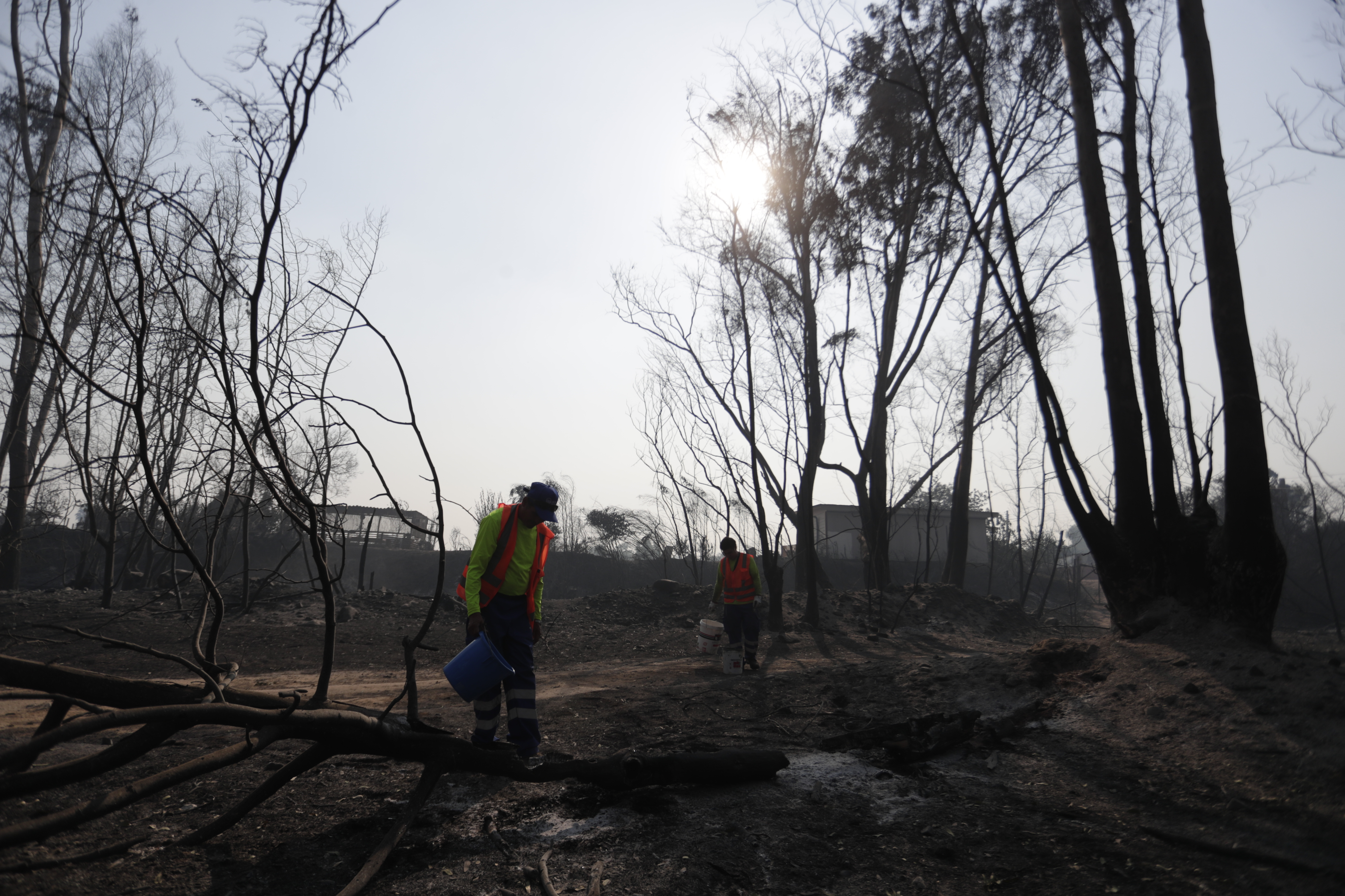 Detenidas dos personas en Viña del Mar por su presunta responsabilidad en los incendios