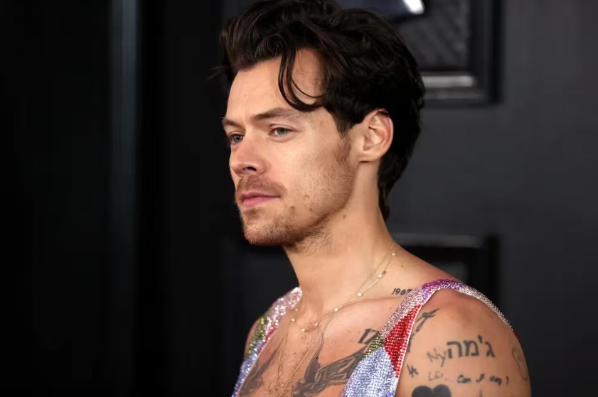 Condenaron a una mujer brasileña a 14 semanas de prisión por acosar a Harry Styles