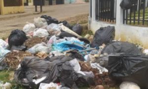 Vecinos de Valle de la Pascua viven entre basura por trabajos inconclusos del chavismo