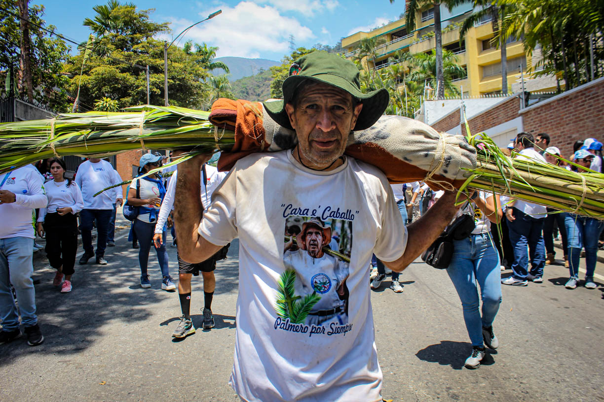 En FOTOS: palmeros de Chacao revivieron su tradición en otra jornada multitudinaria llena de fe