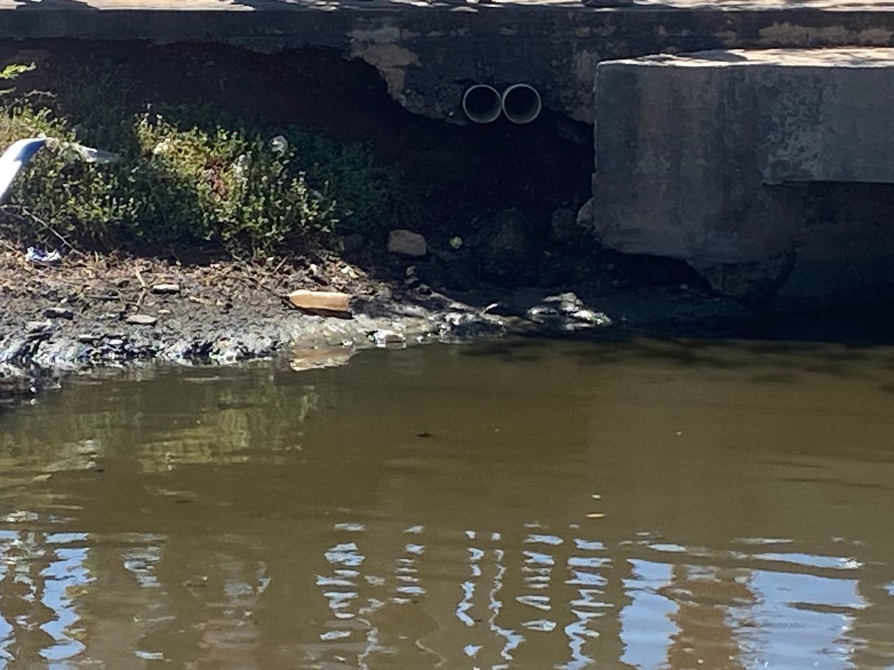 Inepesca exige a ministerios frenar vertido de aguas residuales a canal pesquero de Juan Griego