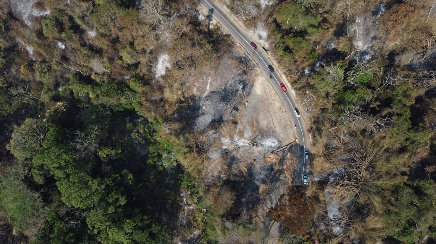 Récord de incendios forestales azota Venezuela durante sequía amazónica causada por el cambio climático