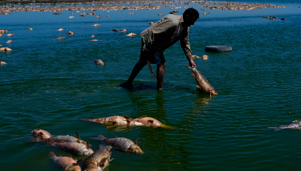 “Donde se pensaba que sobraba, ya no sobra”: analistas alertan sobre escasez de agua en América Latina