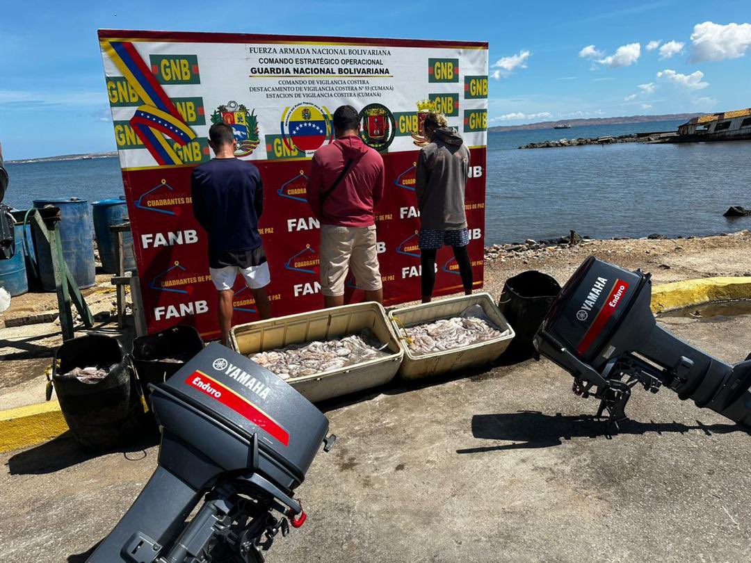 Detienen a tres personas en Sucre por intentar comercializar pulpo en período de veda