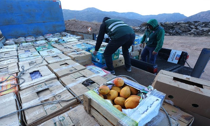 Operación antimafia en Sicilia contra clan que controlaba el envasado de frutas y verduras
