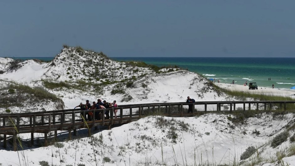 Alarma en Florida: Tres personas resultaron heridas en dos ataques de tiburones con solo 90 minutos de diferencia