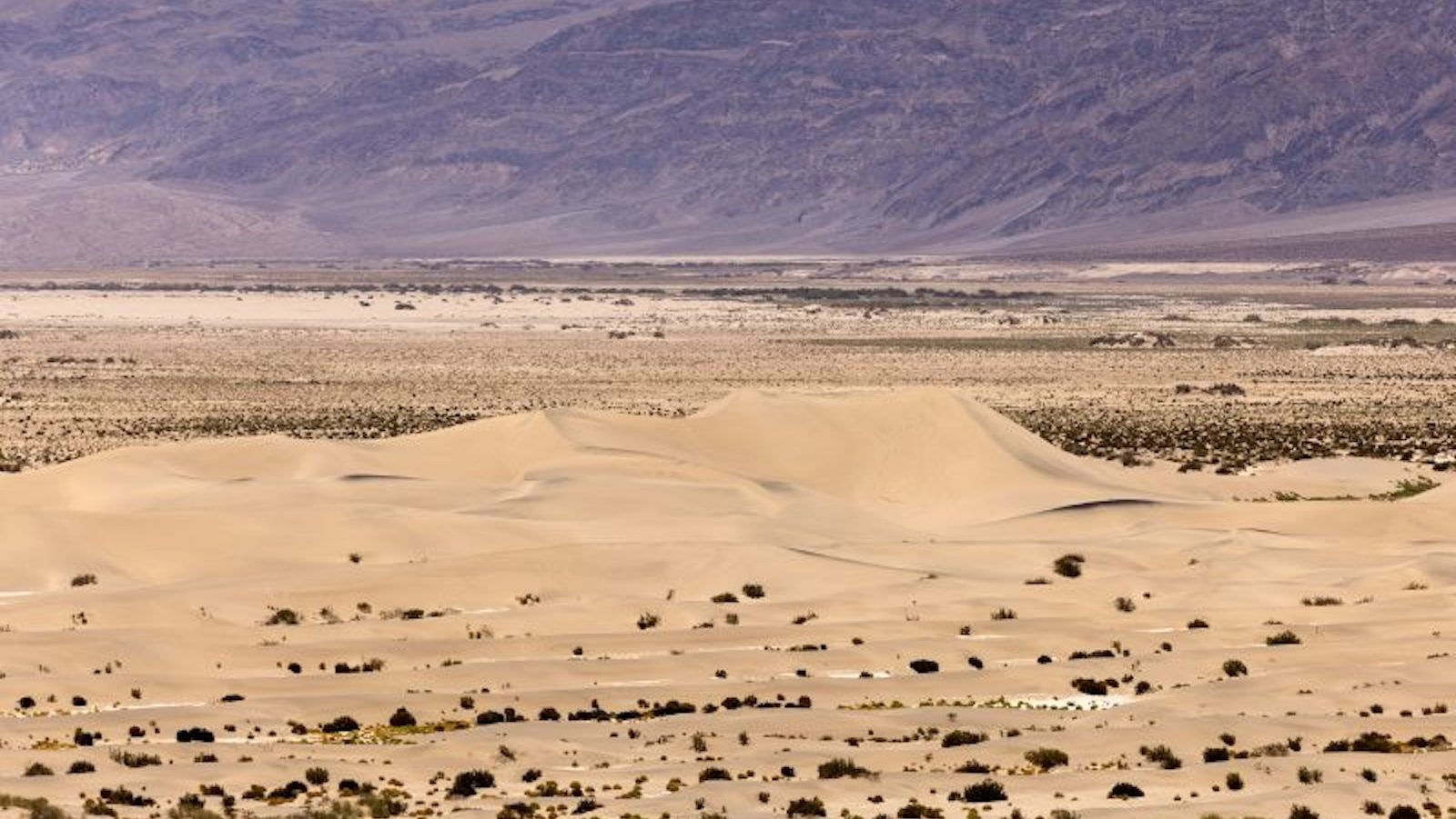 La persistente ola de calor en EEUU bate nuevos récords y causa varias muertes en el oeste