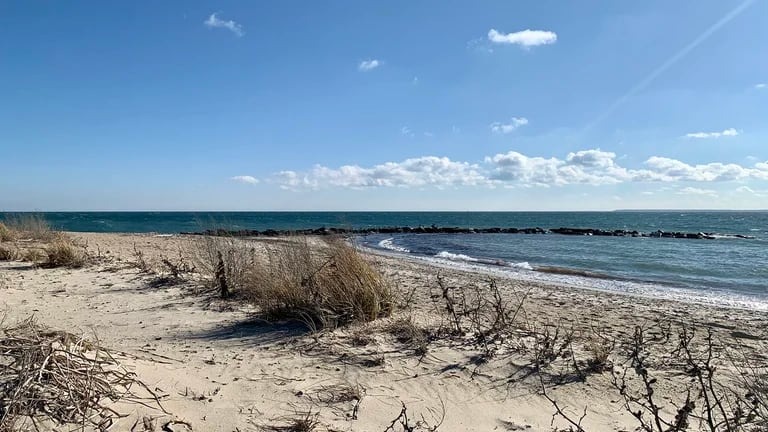 Para evitar un evento “catastrófico” cerraron popular playa de Estados Unidos