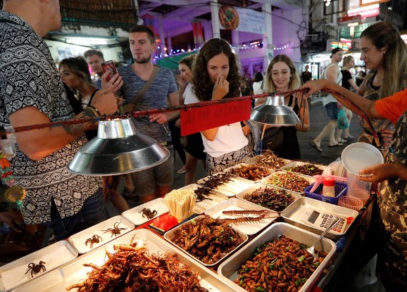 Singapur aprueba el consumo humano de 16 especies de insectos