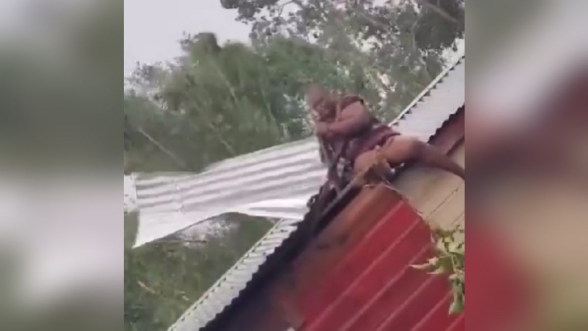 VIDEO: captan a mujer sujetando el techo de su casa para evitar que Huracán Beryl se lo llevara