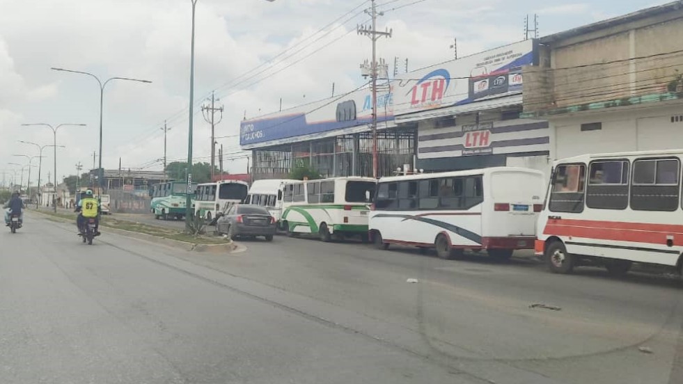 Comienza a reactivarse el servicio de transporte público en Lara