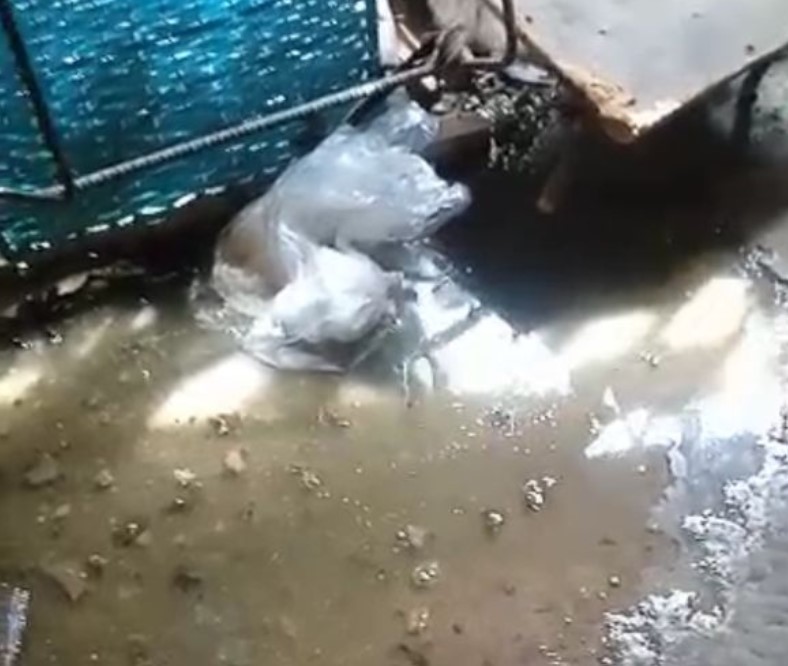 Colapso de aguas servidas en el barrio Las Flores en Aragua empeora condiciones de vida de los vecinos