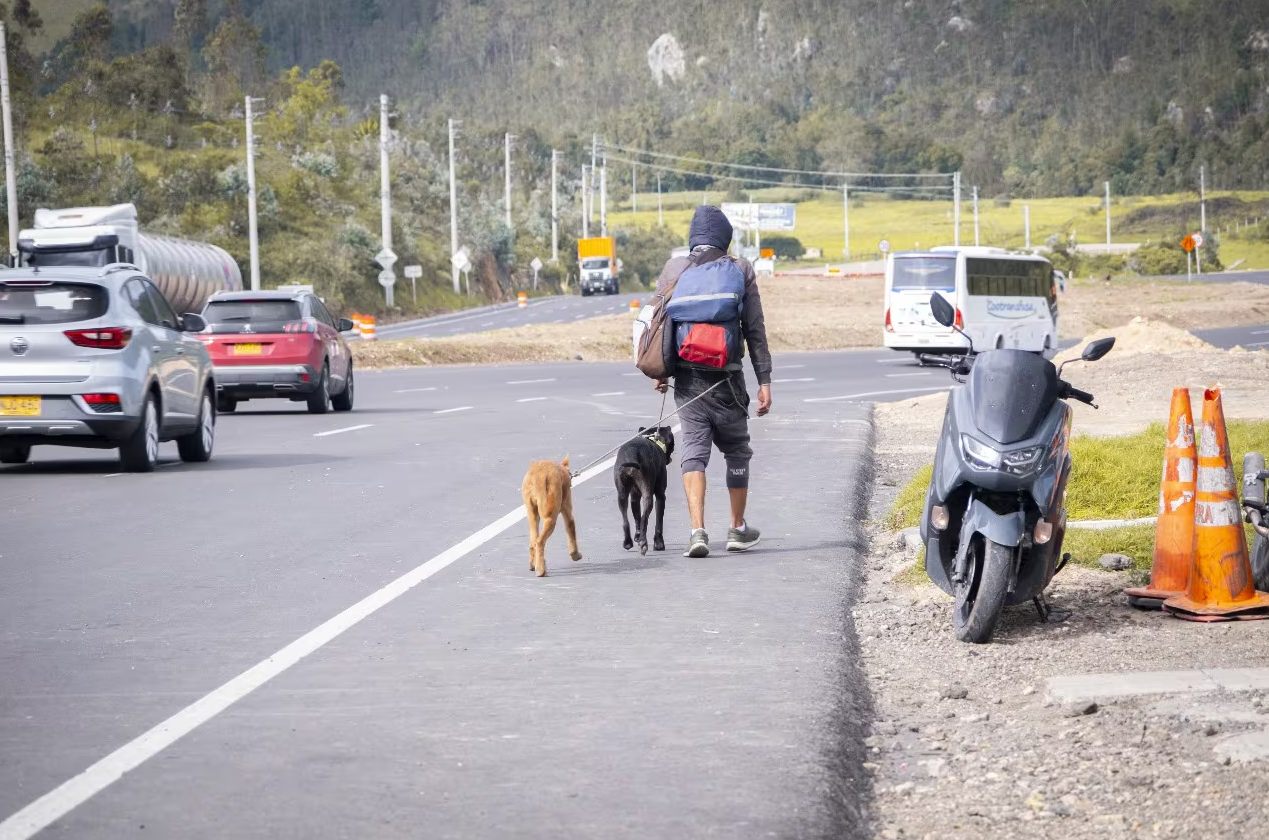 “Caninantes”: programa asiste a las mascotas de los migrantes venezolanos en Colombia