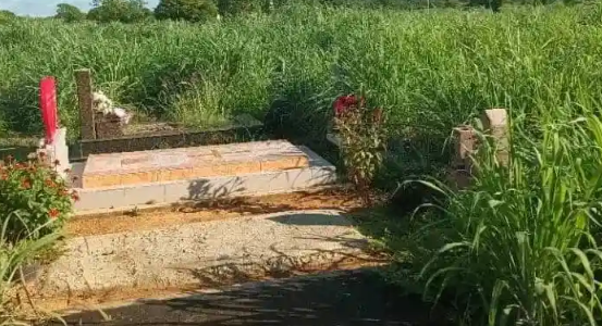 Cementerio municipal en Calabozo luce abandonado entre la maleza y la delincuencia