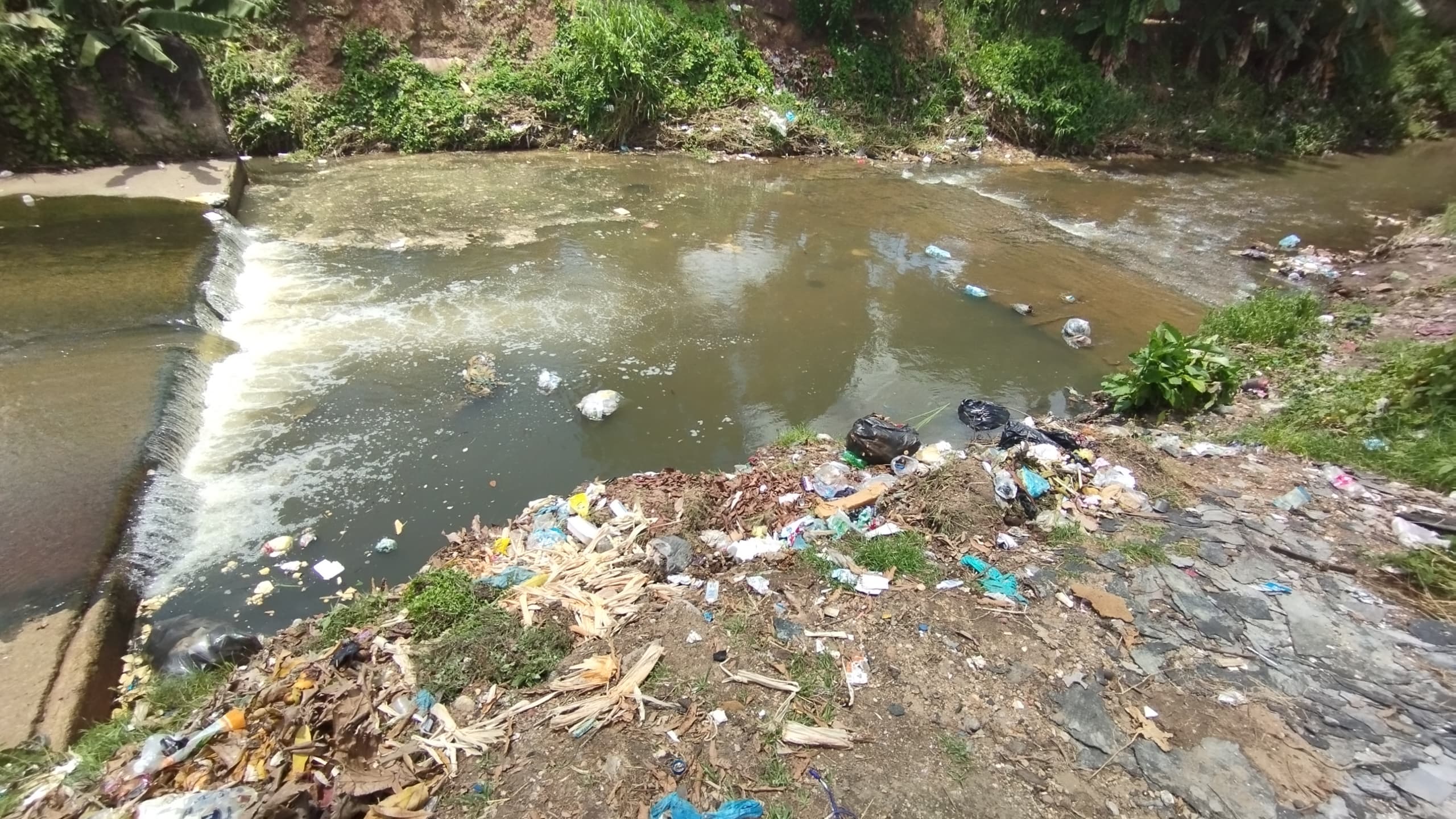 Con dengue, diarrea y vómitos: habitantes de Táriba sufren por cloacas desbordadas