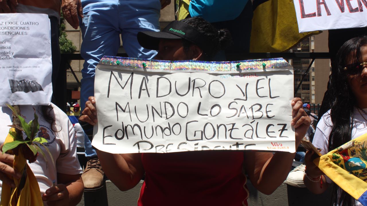 “El mundo lo sabe”: Los mensajes en pancartas de asistentes a la Gran Protesta Mundial en Caracas (FOTOS)