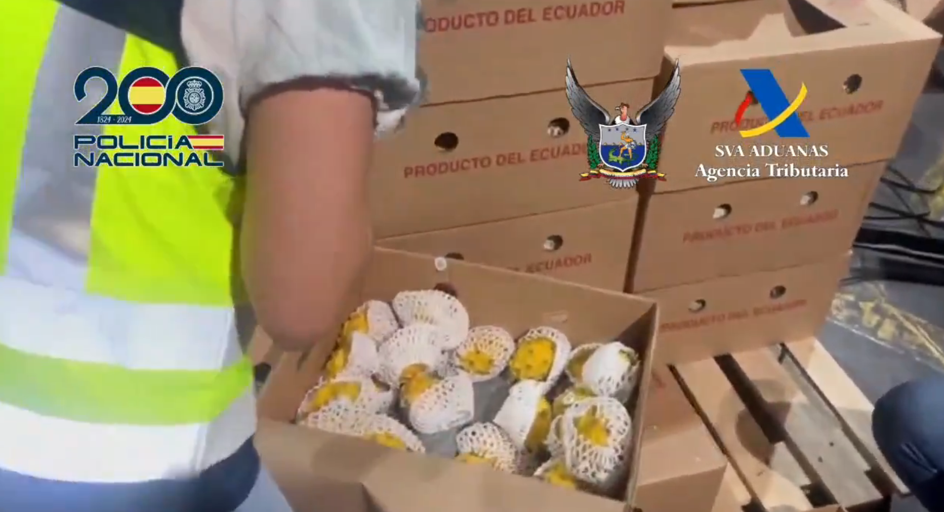 Incautaron cocaína camuflada en cargamento de la fruta del dragón procedente de Ecuador