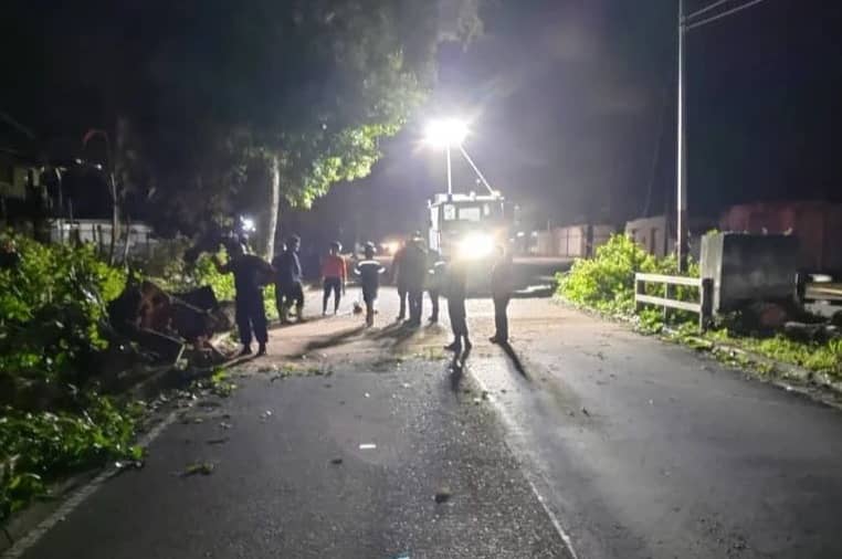 Motorizado perdió la vida al caerle encima un árbol de vieja data en Barinas