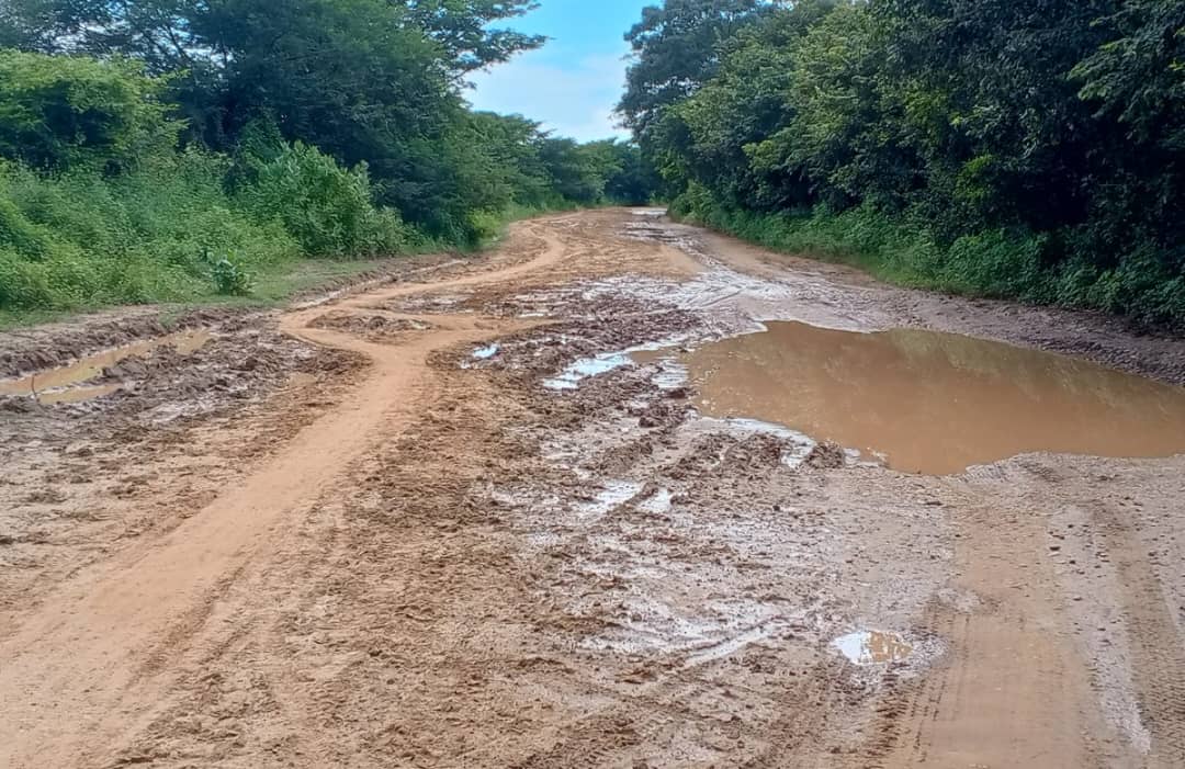 Mal estado de las carreteras en Guárico sigue afectando a los productores agropecuarios