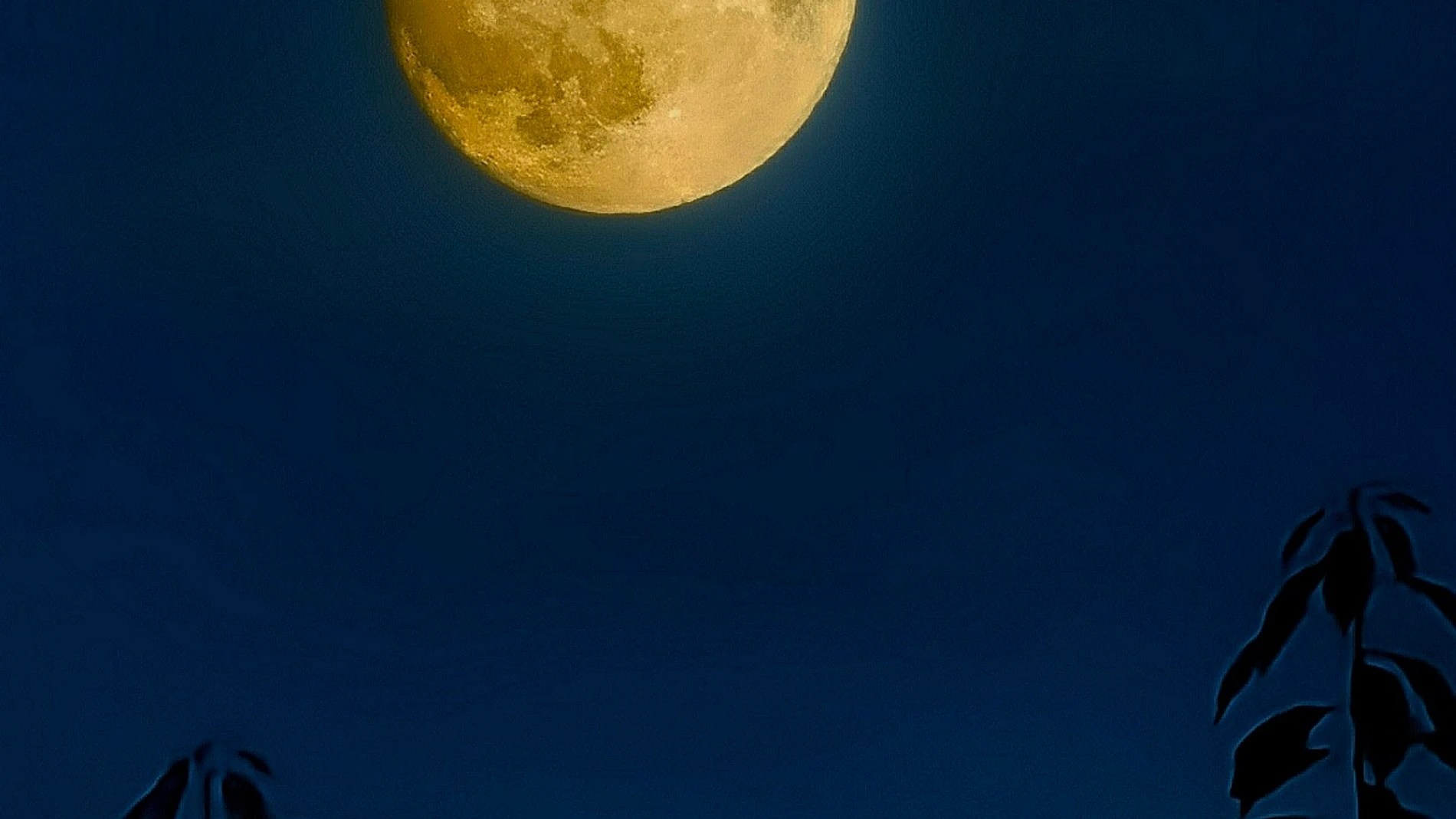 Más nacimientos y crímenes, problemas de sueño… estos son algunos de los efectos de la Superluna