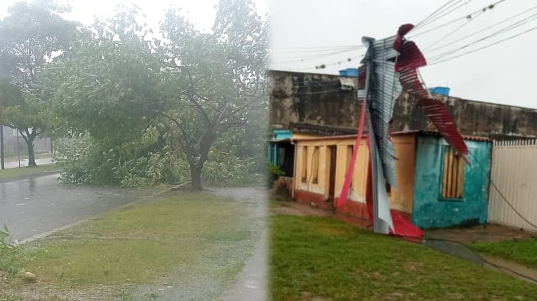 Fuertes vientos en Barinas levantaron techos y tumbaron árboles este #23Sep