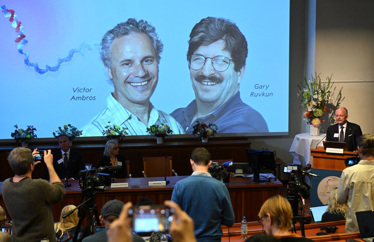 Estadounidenses Victor Ambros y Gary Ruvkun ganaron el Premio Nobel de Medicina