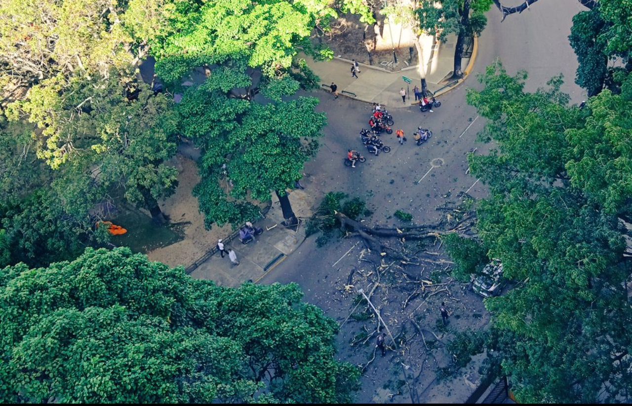 FOTO: Cayó enorme árbol a la altura de la Plaza Madariaga en el Paraíso este #2Oct