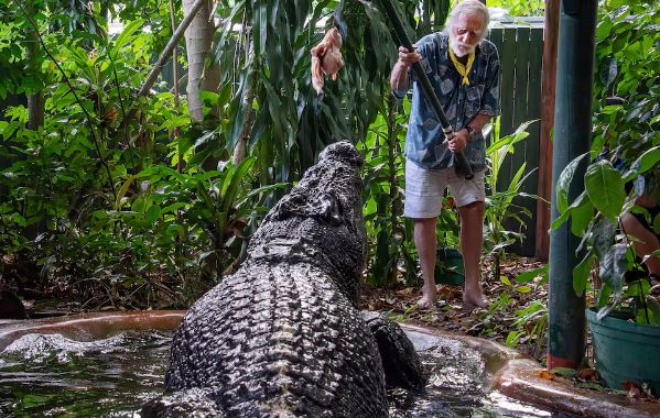 Tras la muerte del cocodrilo más grande del mundo en cautiverio, científicos investigan la razón de su longevidad