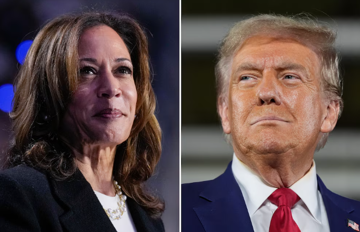 Elecciones presidenciales de EEUU: celebridades de Hollywood dividen su apoyo entre Harris y Trump