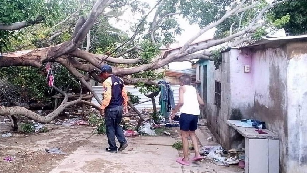 Alerta en Falcón: fuertes lluvias dejaron severas inundaciones y sectores incomunicados