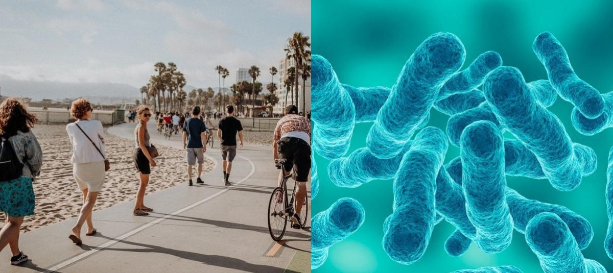 Alerta en Los Ángeles por esta bacteria que es cada vez más común y peligrosa