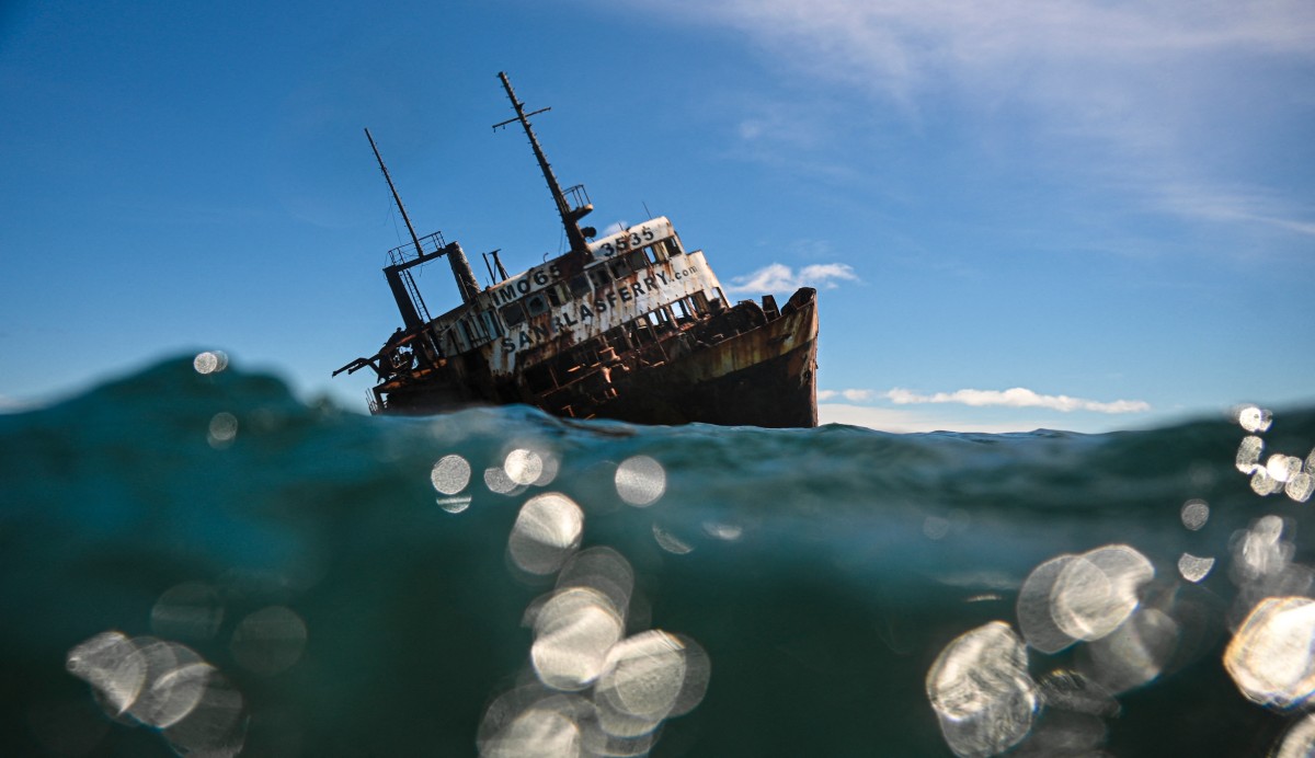 Una oportunidad para la vida marina en el cementerio de barcos de Panamá