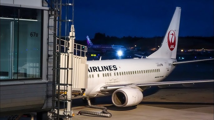 Vuelo de aerolínea japonesa tuvo que retrasarse por varias horas tras grave negligencia de los pilotos