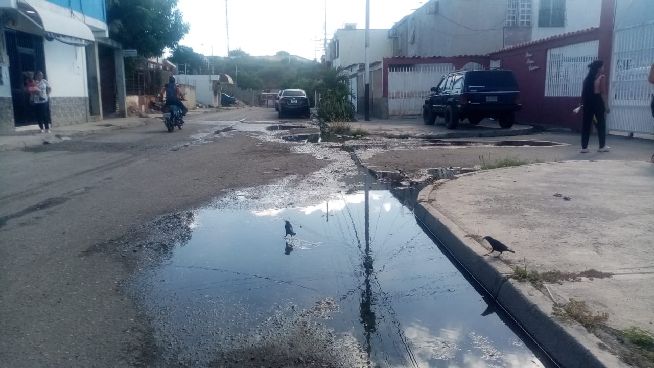 Hidrolara “pelotea” problema de aguas negras en urbanización Macías Mujica de Barquisimeto