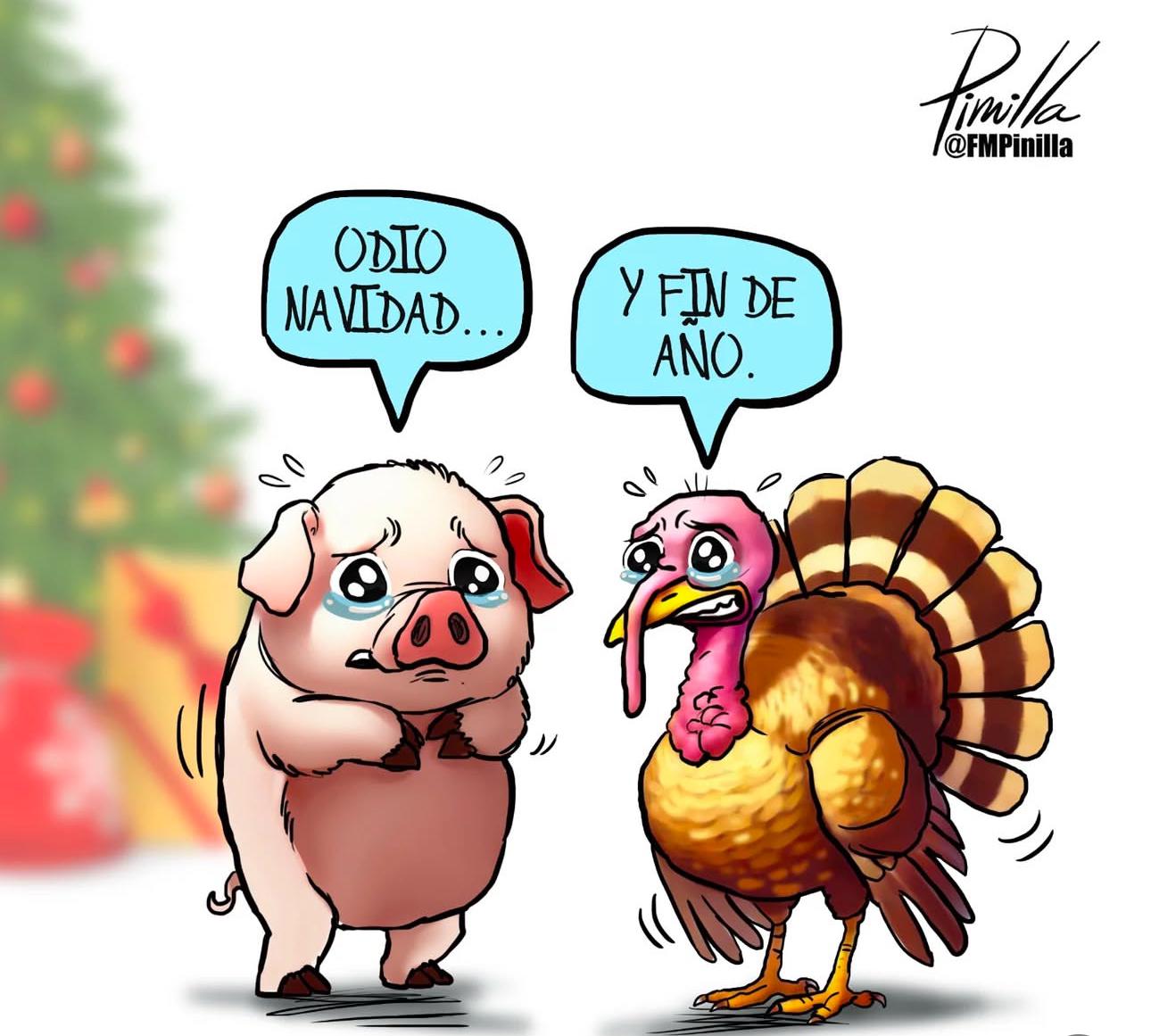 Caricaturas de este sábado 28 de diciembre de 2024