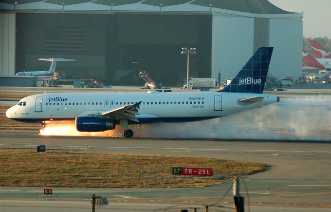 Hallan dos cuerpos en el tren de aterrizaje de avión de JetBlue que aterrizó en Florida