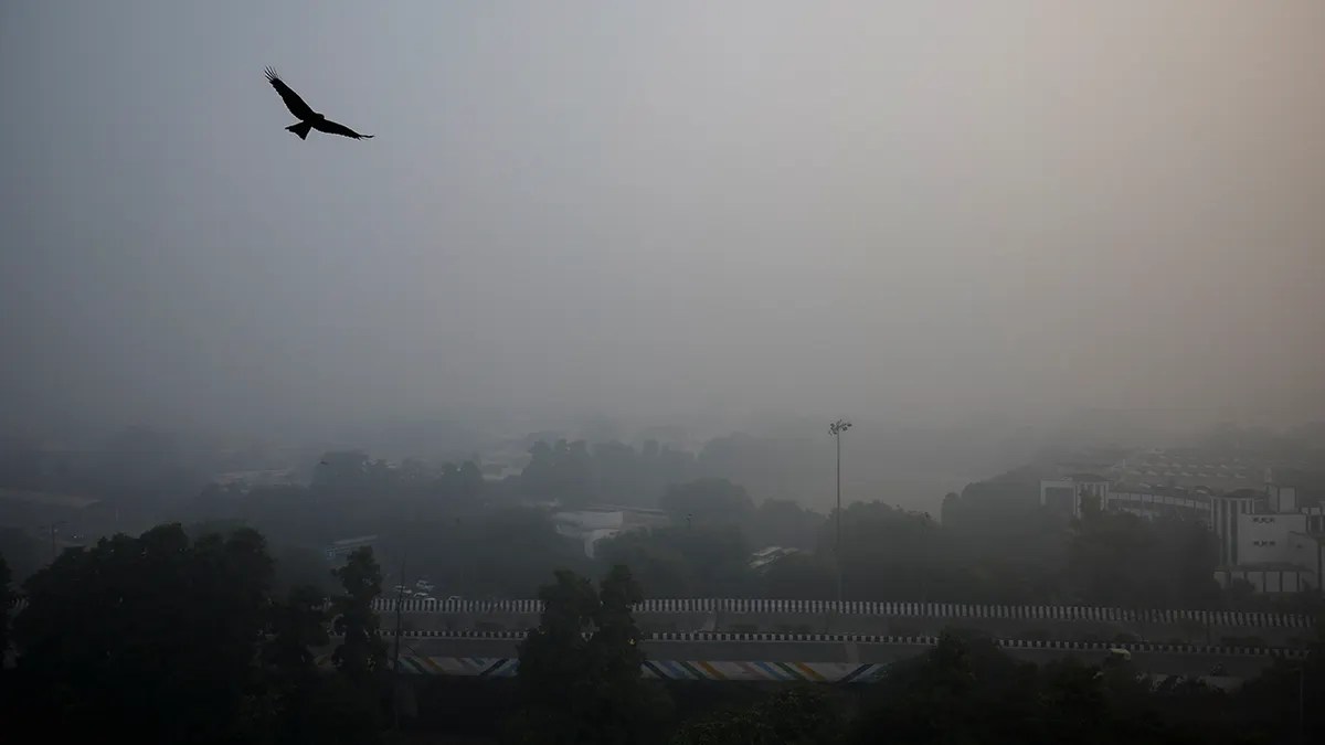 La niebla reduce al mínimo la visibilidad en Nueva Delhi